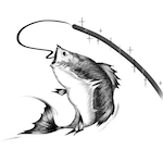 BAT AGN Spectroscopic Survey